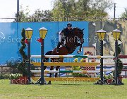 Lazzarini Pretty Boop Giovanili2013  S5 4444 : Arezzo Equestrian Centre, Pretty Boop, foto di Stefano Secchi ©. Campionati Italiani Giovanili 2013, lazzarini Alice
